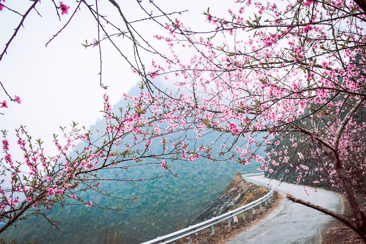Du lịch hà giang tết nguyên đán